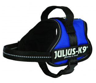 Julius K-9 Powertuig 4